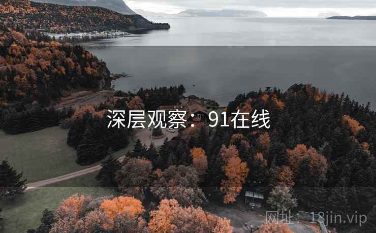 深层观察：91在线